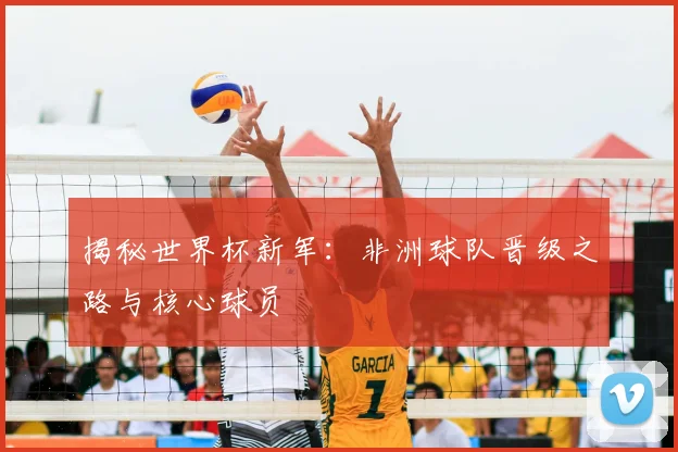 揭秘世界杯新军：非洲球队晋级之路与核心球员